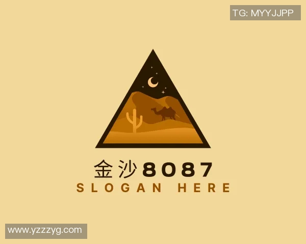 2017湖北全运足球队的辉煌历程与未来展望分析