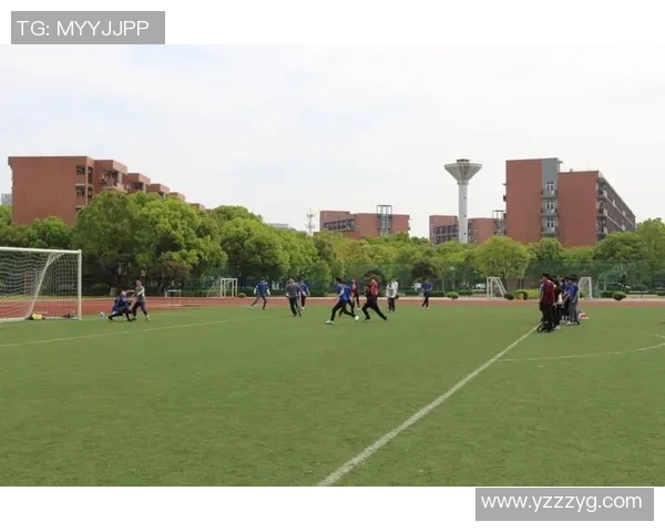 武汉飞盘队个人能力分析与表现评估探讨