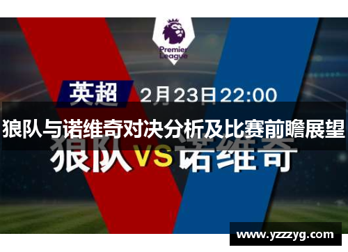 狼队与诺维奇对决分析及比赛前瞻展望