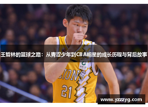 王哲林的篮球之路：从青涩少年到CBA明星的成长历程与背后故事